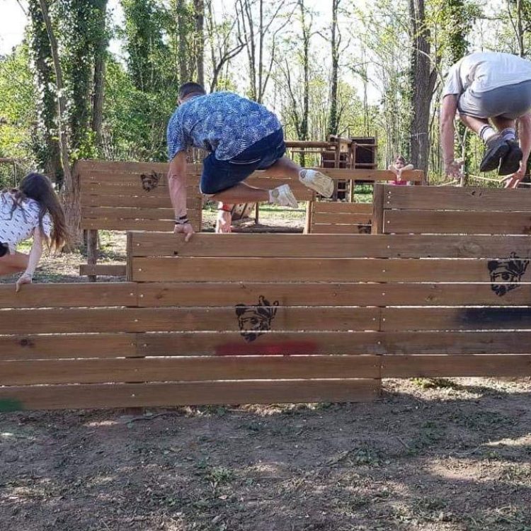 AirJeyFilets panda warrior